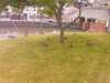20080614150349-IMAG0047.jpg