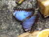 20080614153747-DSCF1939.JPG