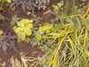 20080614153754-IMAGE_063.jpg