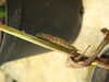 20080614154443-DSCF1958.JPG
