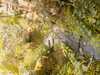 20080614154910-IMAGE_078.jpg