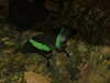 20080614155000-DSCF1970.JPG