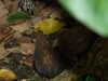 20080614155038-DSCF1972.JPG