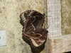 20080614155500-DSCF1982.JPG