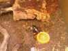 20080614160452-IMAGE_106.jpg