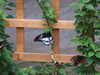 20080614161226-DSCF1984.JPG
