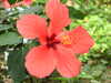 20080614161308-DSCF1987.JPG