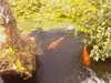 20080614161354-IMAGE_120.jpg