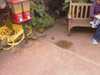 20080614161429-IMAGE_121.jpg