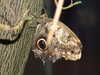 20080614161644-DSCF1995.JPG