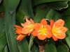 20080614161746-DSCF1996.JPG