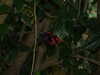 20080614161939-DSCF2002.JPG