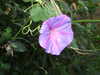 20080614162042-DSCF2005.JPG