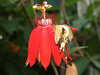 20080614162122-DSCF2008.JPG
