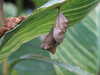 20080614162230-DSCF2012.JPG