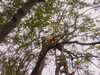 20080614162443-IMAG0128.jpg