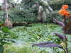 20080614162447-DSCF2023.JPG