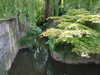 20080615131229-DSCF2027.JPG