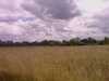 20080615131511-IMAG0143.JPG