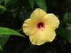20080712101454-DSCF2060.JPG