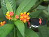 20080712101522-DSCF2062.JPG
