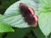 20080712101544-DSCF2063.JPG
