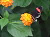 20080712101552-DSCF2064.JPG