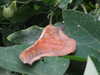 20080712101749-DSCF2066.JPG