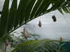 20080712101856-DSCF2070.JPG
