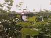 20080712101934-IMAG0171.JPG
