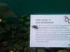 20080712102040-IMAG0174.JPG
