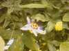 20080712102812-IMAG0178.JPG
