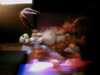 20080712151758-IMAG0194.JPG