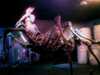 20080712153412-IMAG0210.JPG