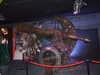 20080712153530-DSCF2119.JPG
