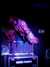 20080712154811-IMAG0236.JPG