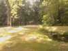 20080729142635-IMAGE_288.jpg