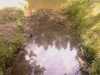 20080729142842-IMAGE_292.jpg