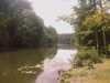 20080729142924-IMAGE_294.jpg