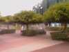20080730145338-IMAGE_306.jpg