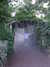 20080730202543-DSCF2218.JPG