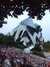 20080730204132-DSCF2244.JPG