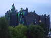 20080730204306-DSCF2248.JPG