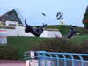 20080730205044-DSCF2273.JPG