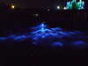 20080730213412-DSCF2294.JPG