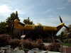 PICT0005.JPG