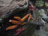 20080802164124-DSCF2353.JPG