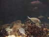 20080802164304-DSCF2354.JPG