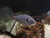 20080802164310-DSCF2355.JPG