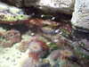 20080802164616-DSCF2358.JPG